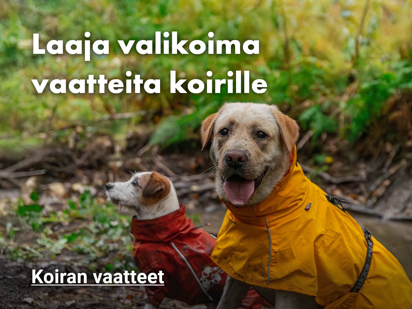 Laaja valikoima vaatteita koirille - tutustu valikoimaan