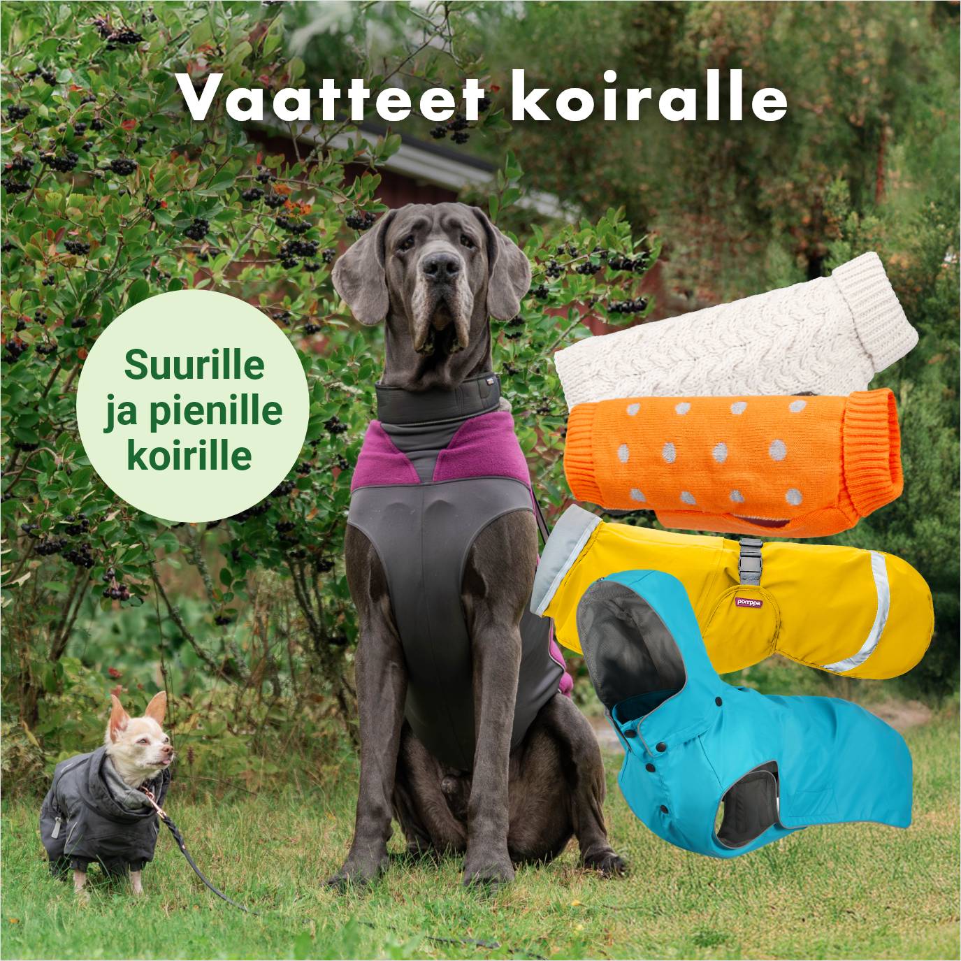 Vaatteet pienille ja suurille koirille