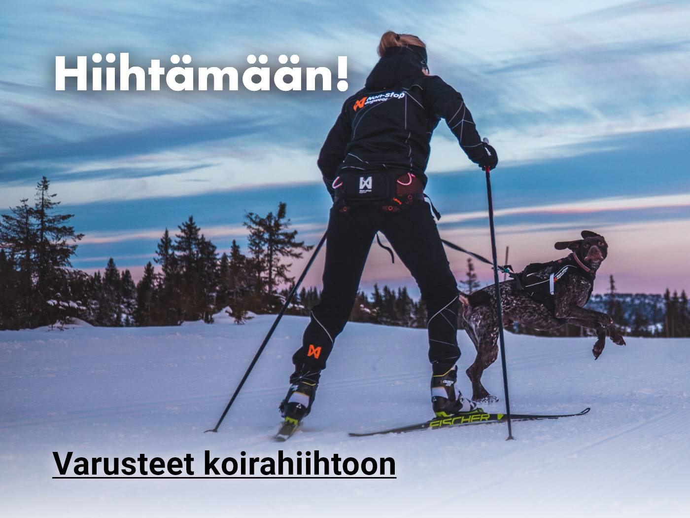 Tuotteet koirahiihtoon