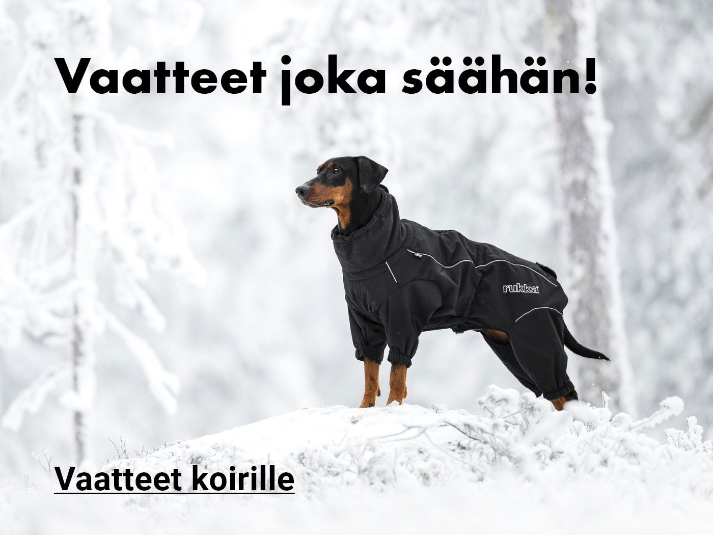 Koiran vaatteet - katso kaikki