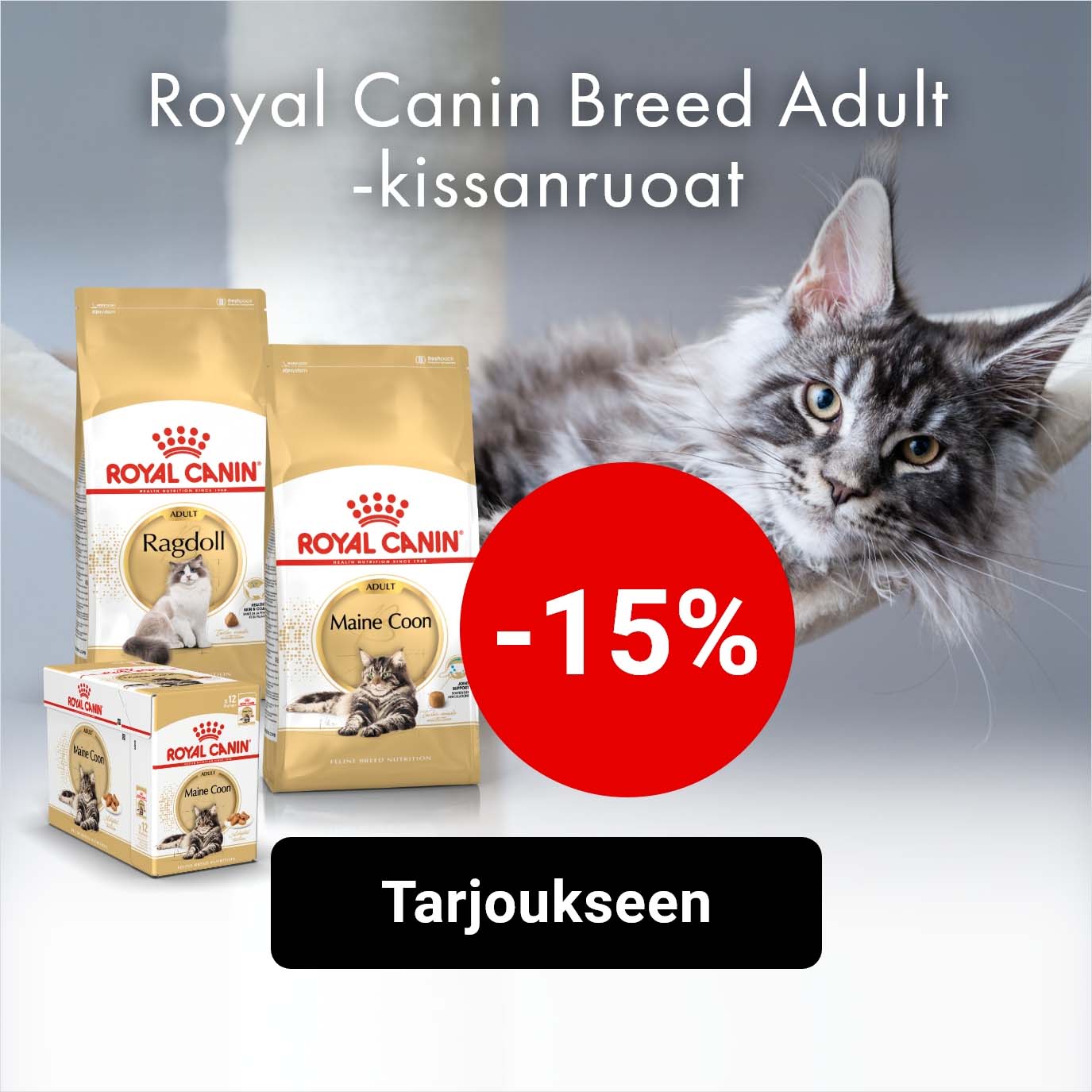 -15% Royal Canin Breed -kissanruoat (adult)