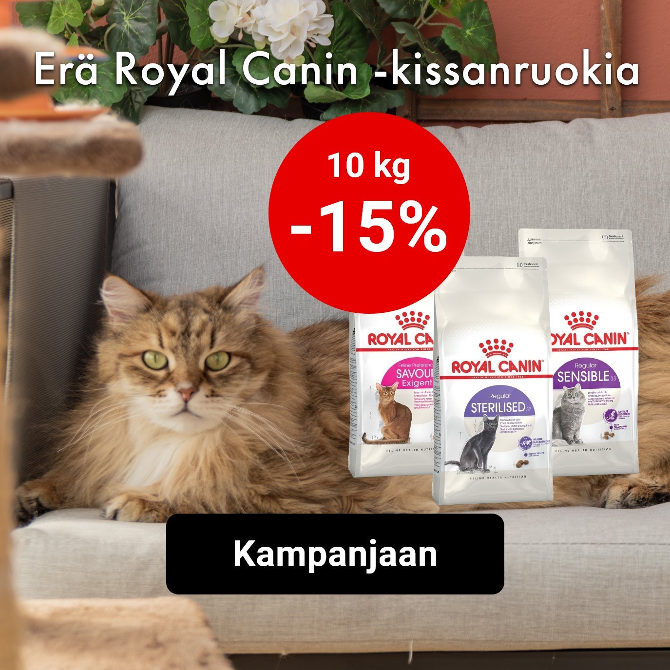 -15% Royal Canin adult -kissanruoat 10kg