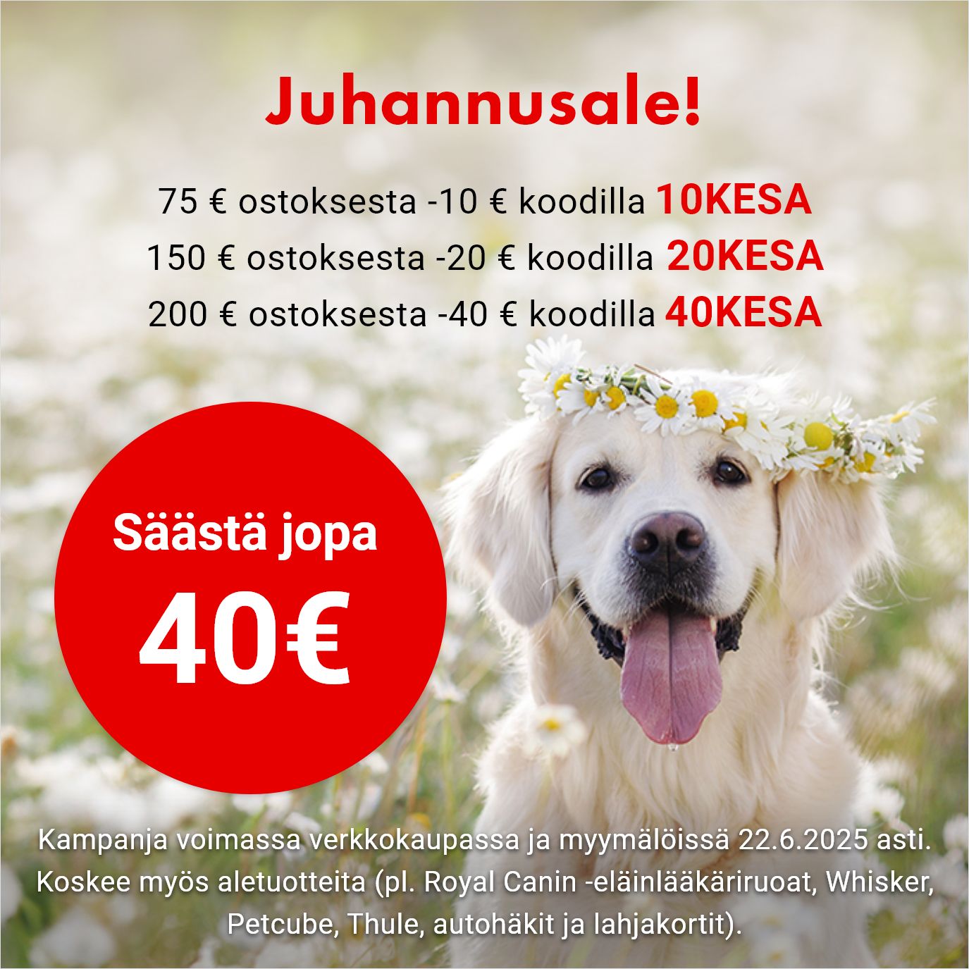Hyödynnä juhannusalen alekoodit!