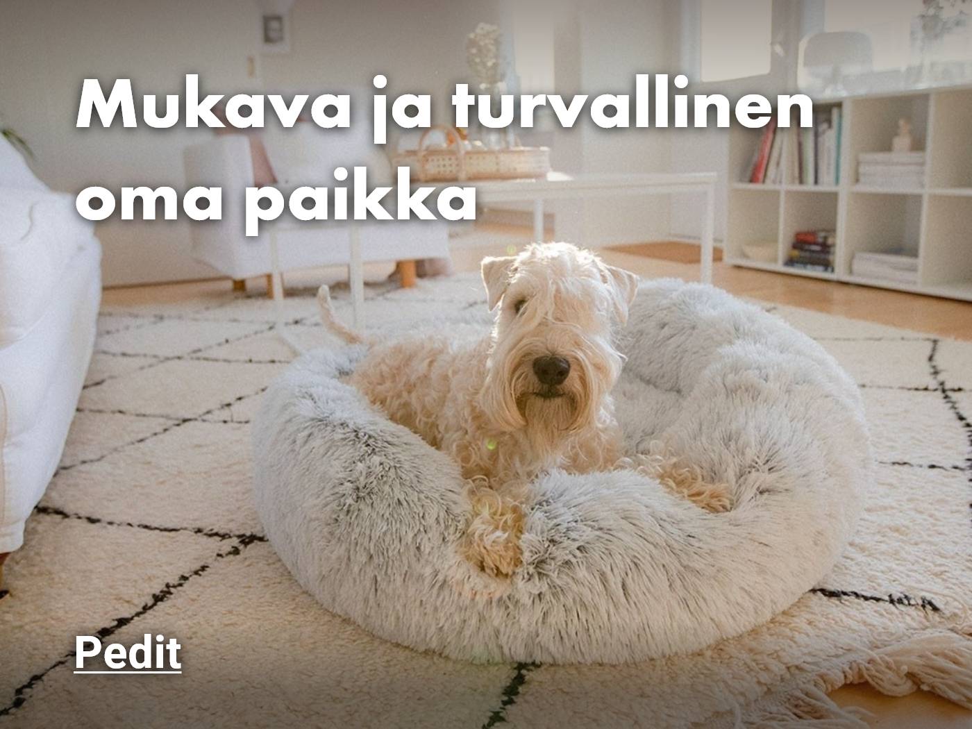 mukavat koiran pedit