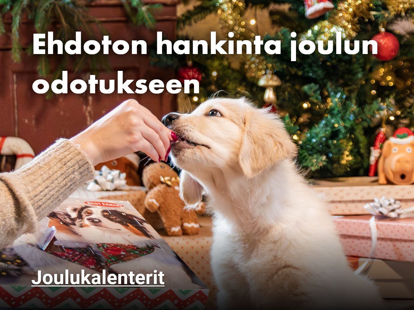 Lemmikin joulukalenteri - katso vaihtoehdot kissalle tai koiralle