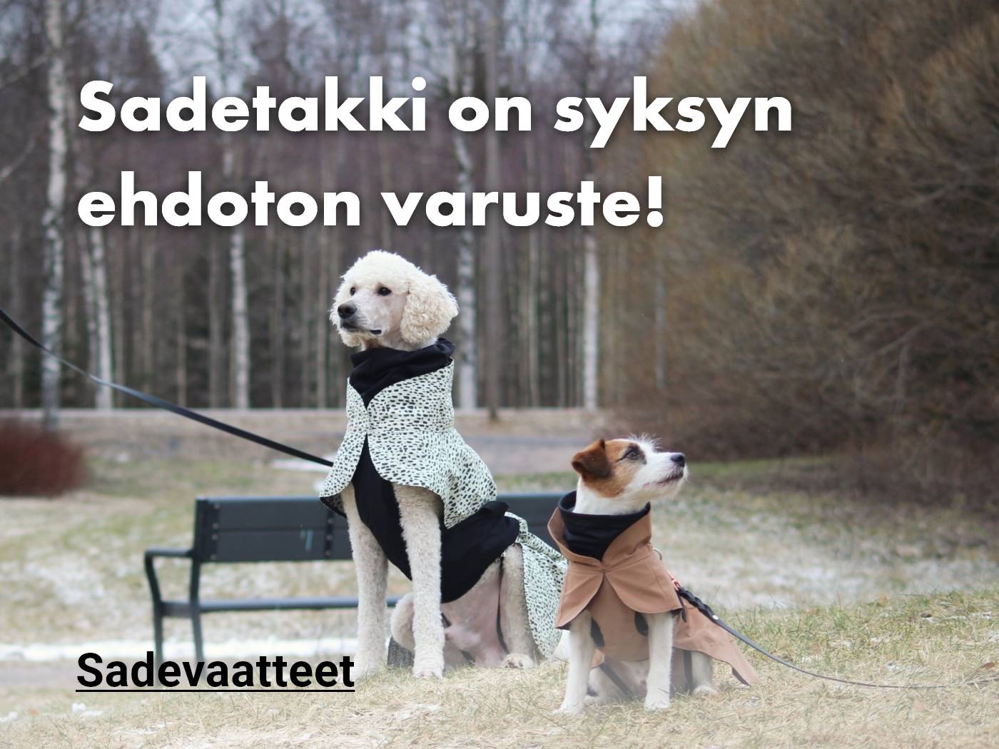 Sadevaatteet koirille 