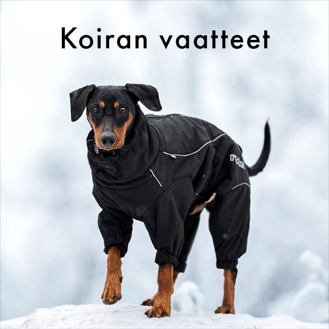 Koiran vaatteet