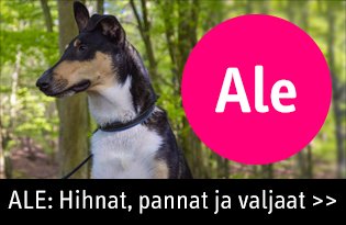 Panta, valjaat  ja hihna