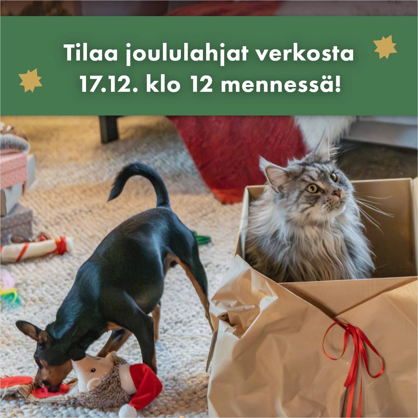 Tilaa joululahjat verkosta 17.12. klo 12 mennessä