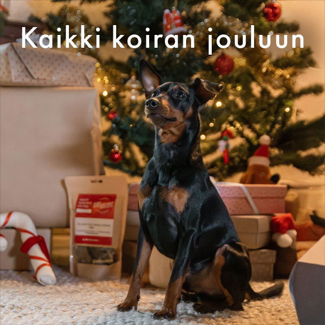 Kaikki koiran jouluun