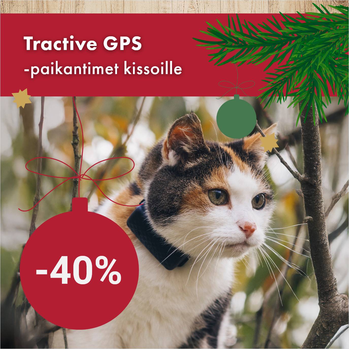 Tractive GPS-paikantimet kissoille ja koirille -40% 24.12. asti