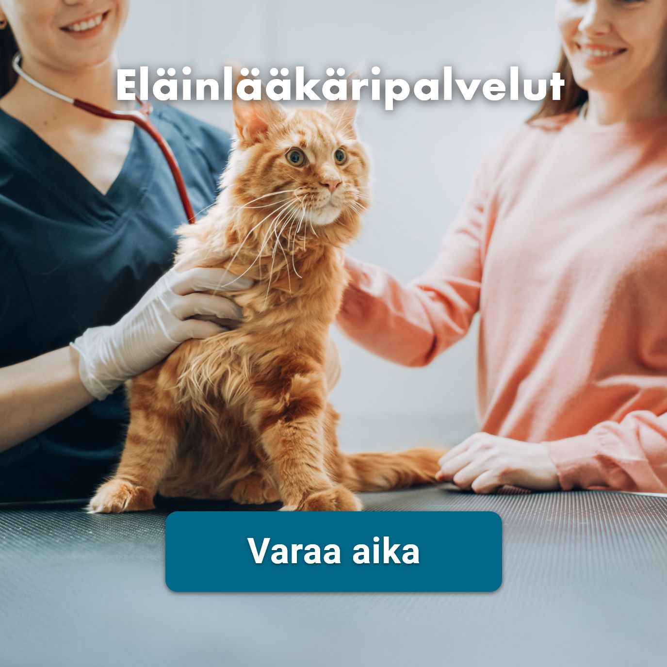 Eläinlääkäripalvelut