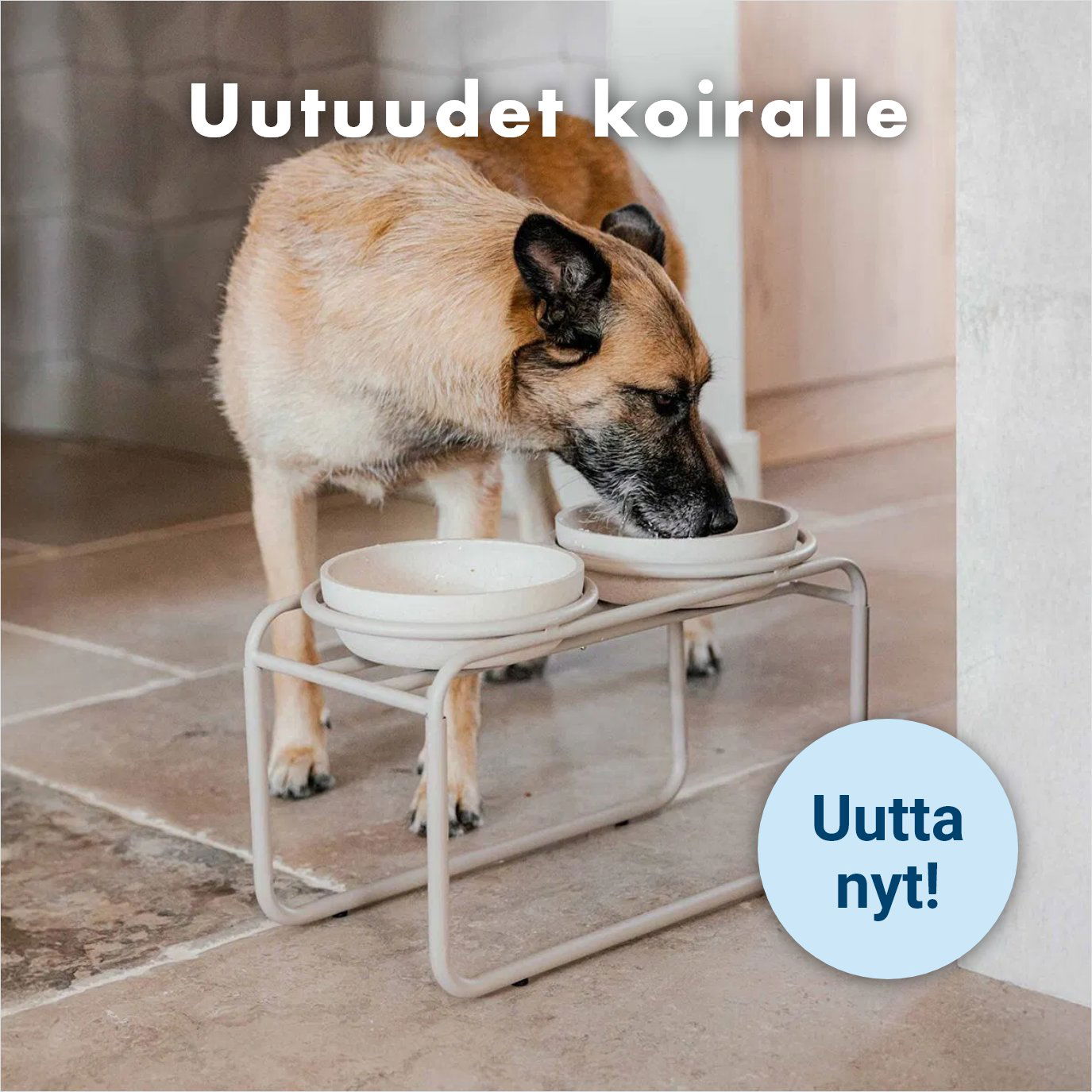 uutuudet koiralle