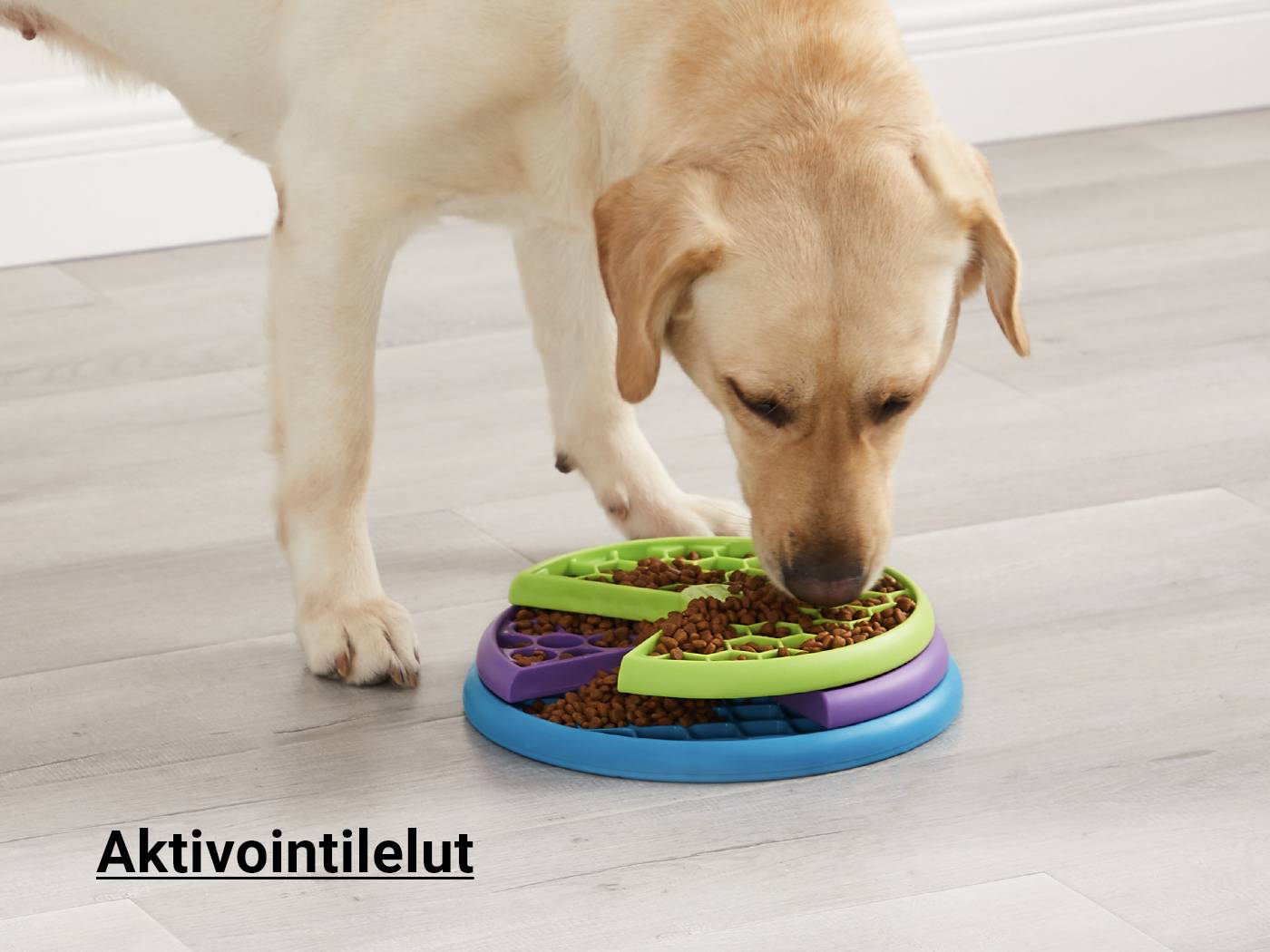 aktivointilelut koiralle