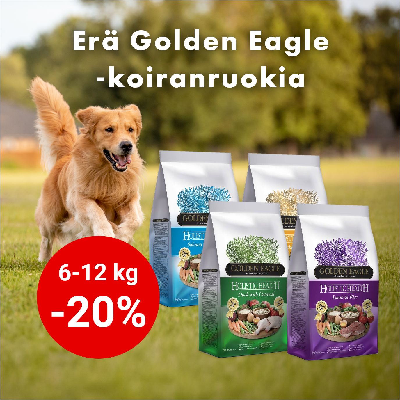 -20% Golden Eagle Holsistic -kuivaruoat 6-12 kg