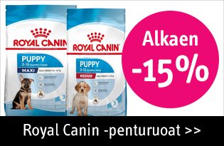 Royal Canin penturuoat koirille alkaen -15%