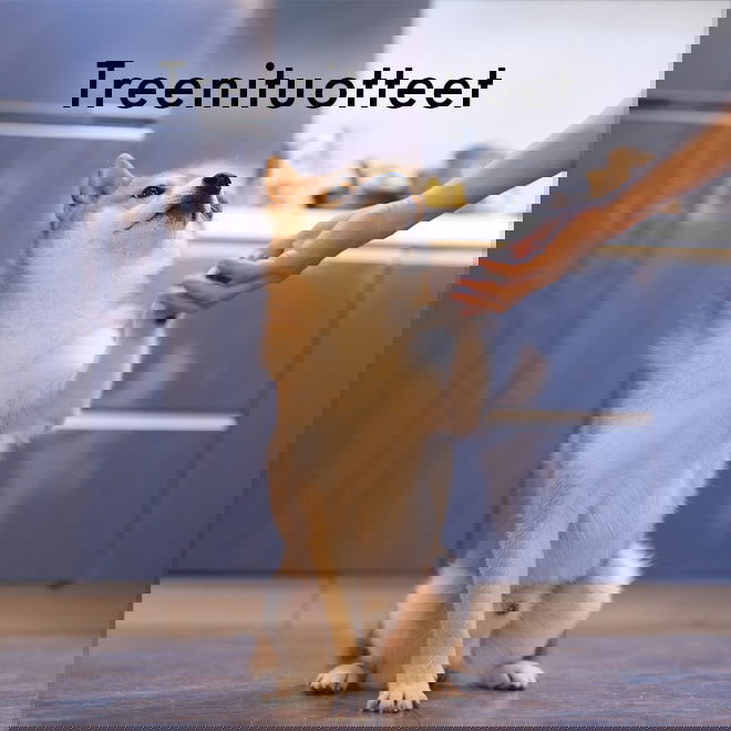 Tuotteet kotitreeneihin