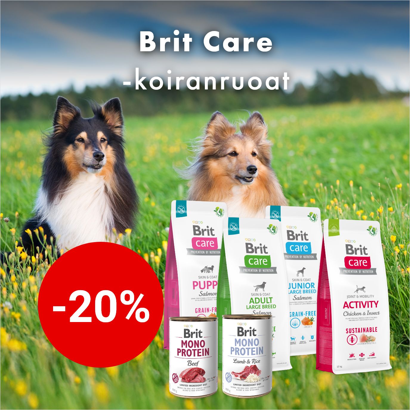 -20% Brit Care -koiranruoat