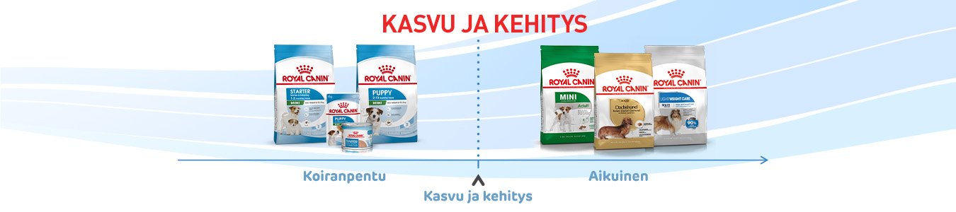 Kasvu ja kehitys
