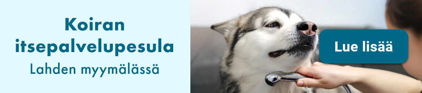 Koiran itsepalvelupesula