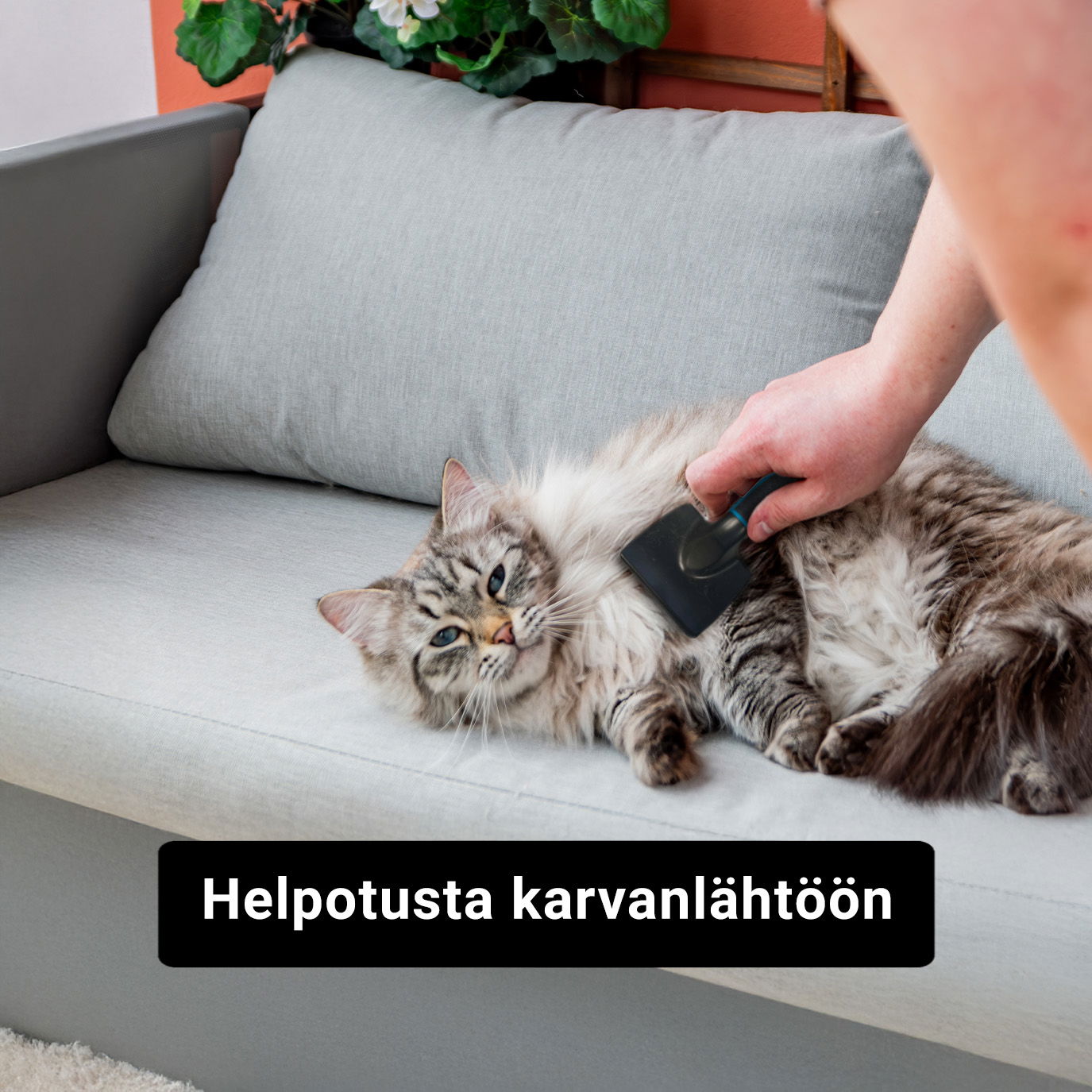 Helpotusta karvanlähtöön