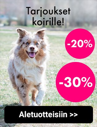 Tarjouksia koirille