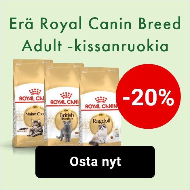 -20% Royal Canin Breed -kuivaruoat aikuiselle kissalle