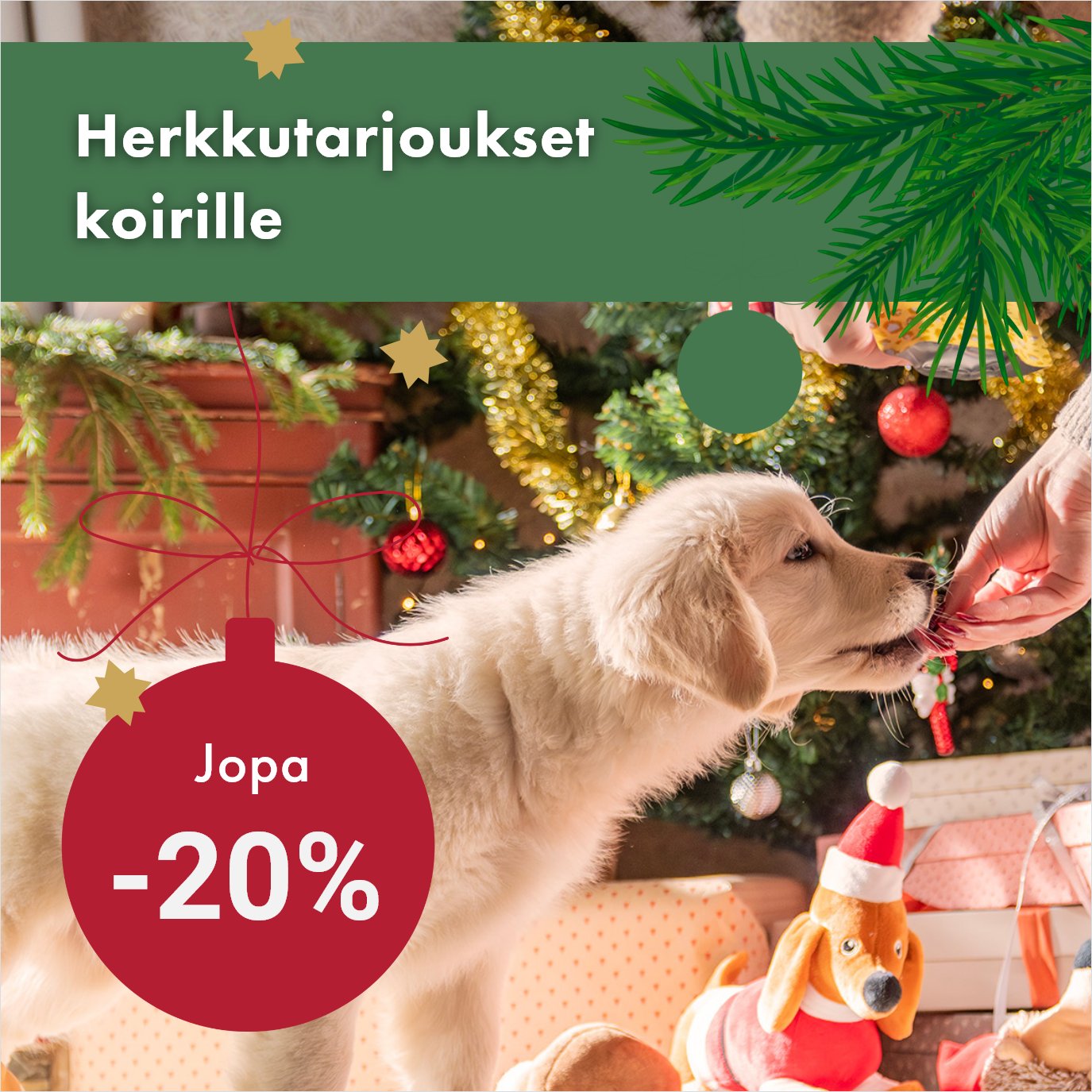 Herkkutarjoukset koiralle jopa -20%