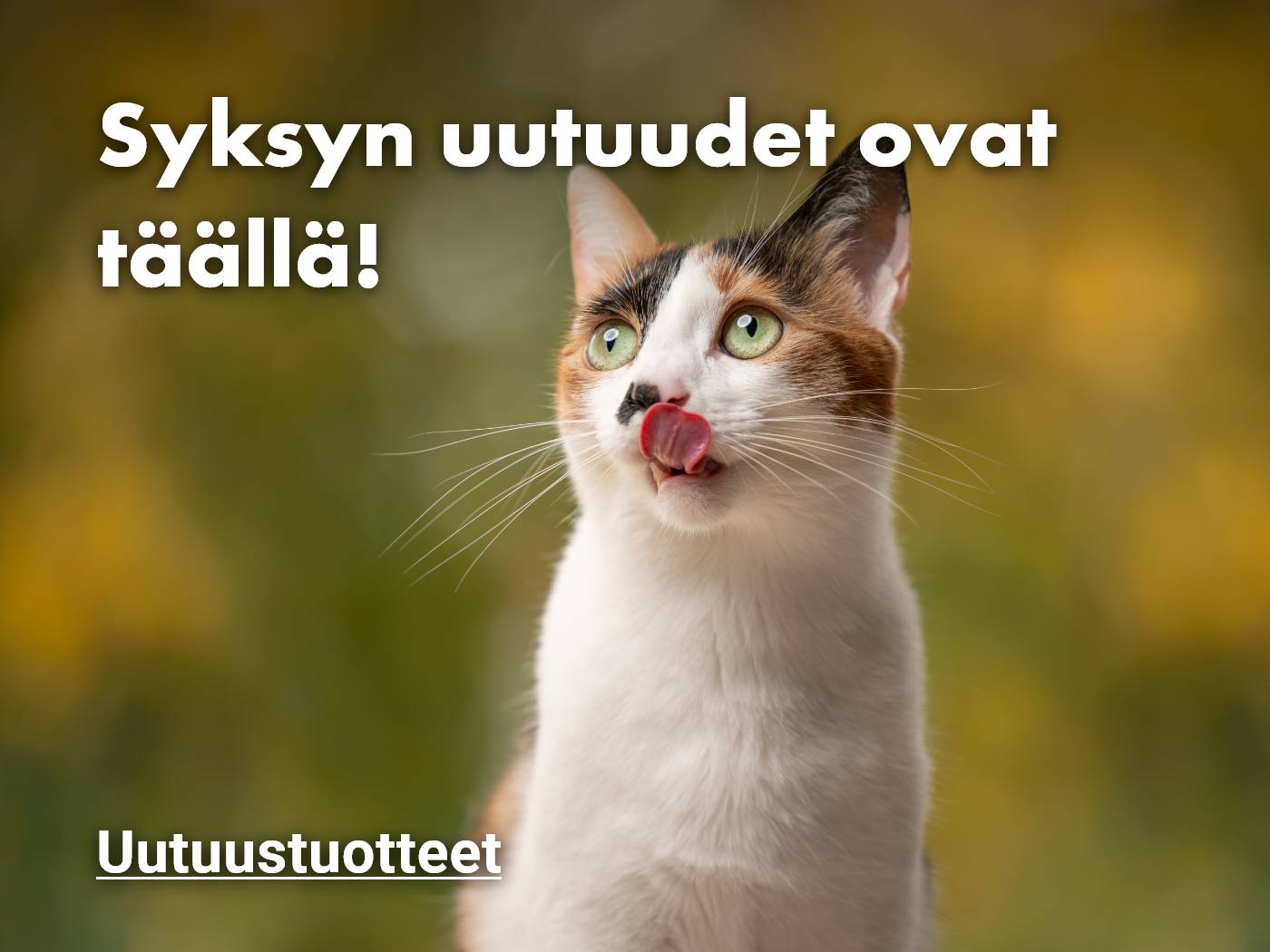 Katso kaikki syksyn uutuustuotteet kissalle