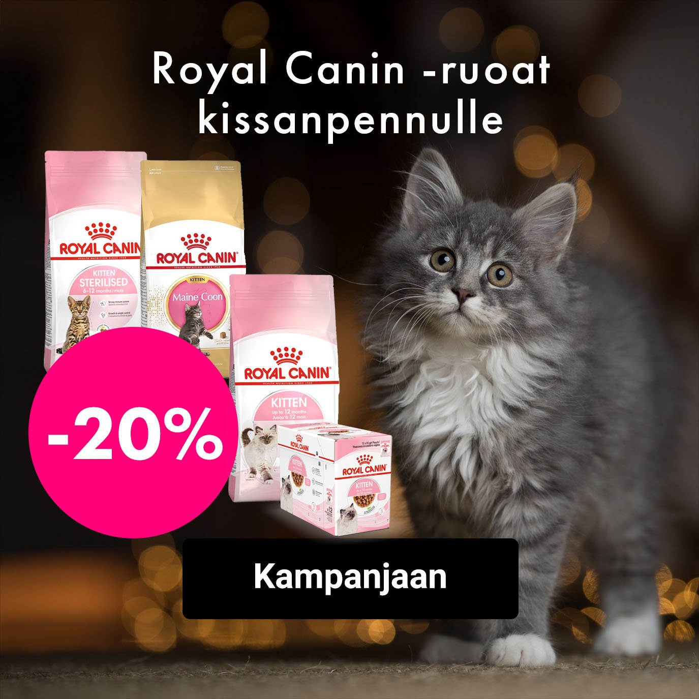 Royal Canin kissanpennulle -20%