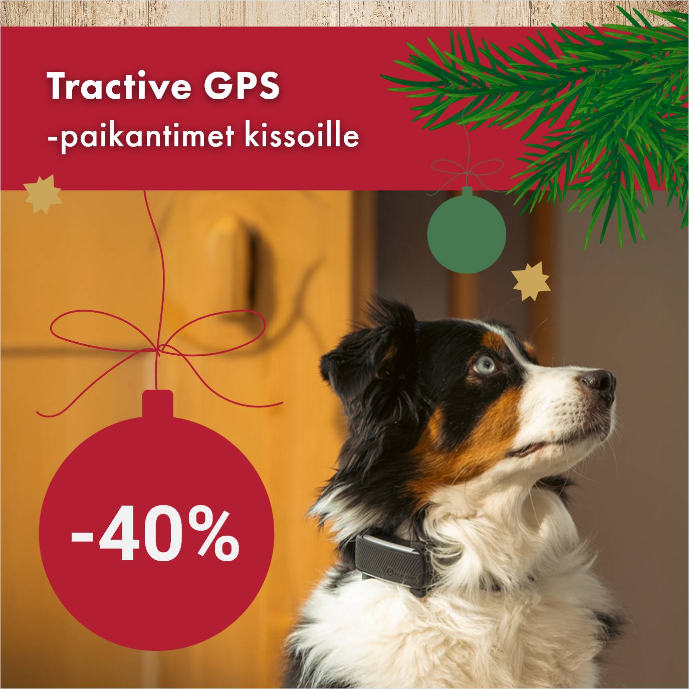 Tractive GPS-paikantimet 24.12. asti