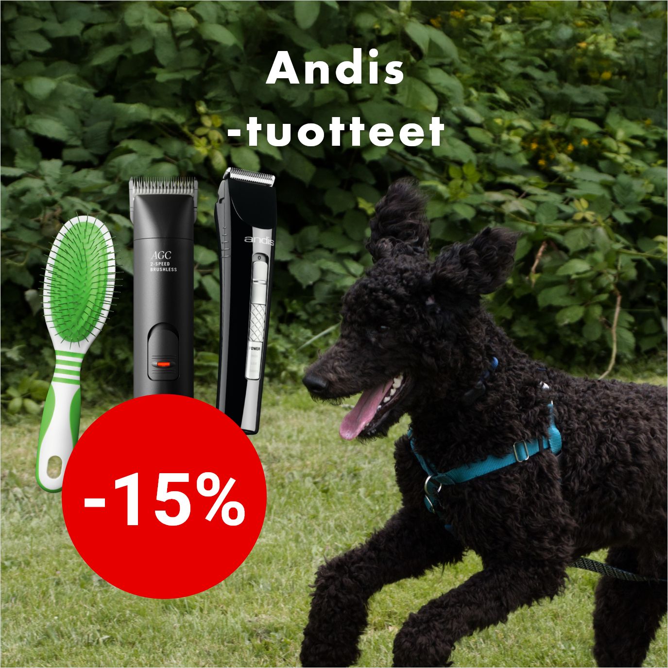 -15% Andis-tuotteet