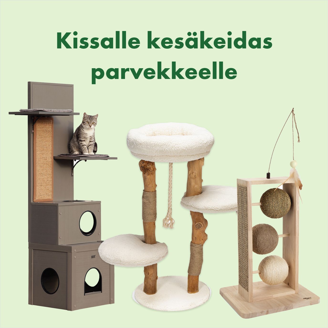 Kissan kiipeilypuut ja raapimispuut