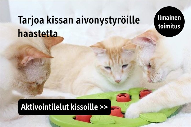 Aktivointilelut kissoille