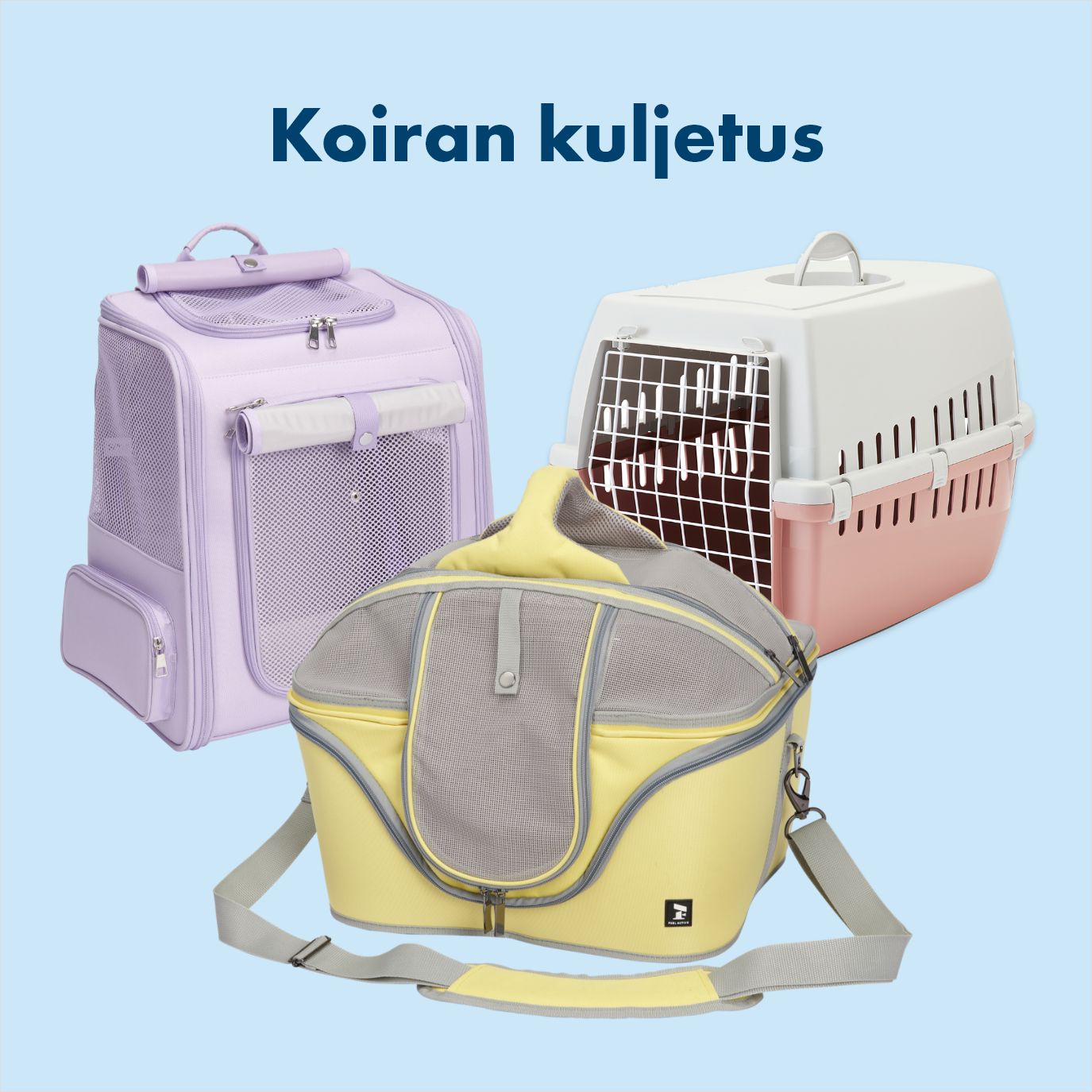 Koiran kuljetus ja autoilu