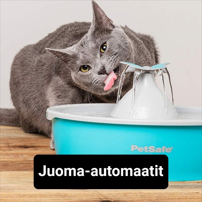 Kissan juoma-automaatti