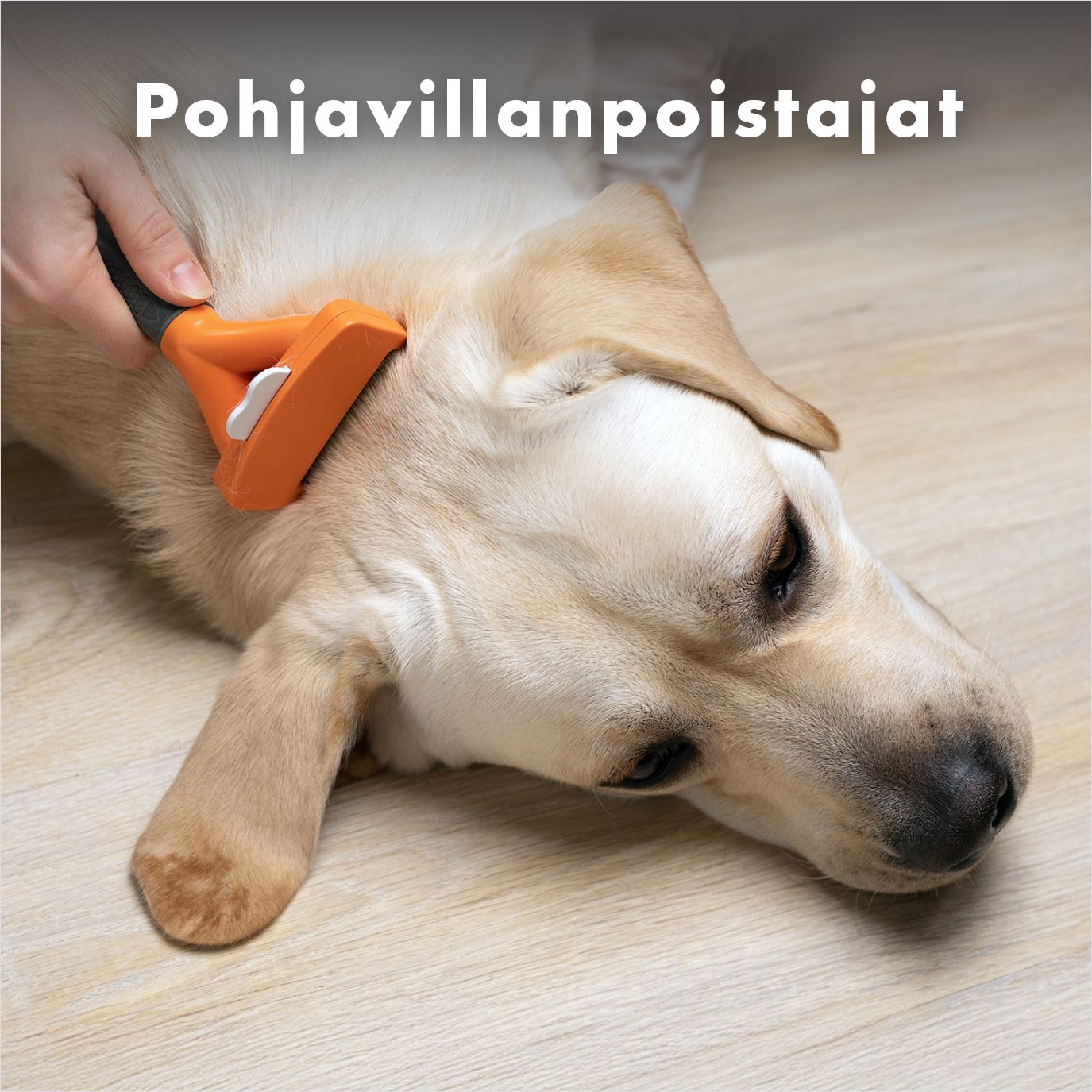 Pohjavillanpoistajat ja takunavaajat