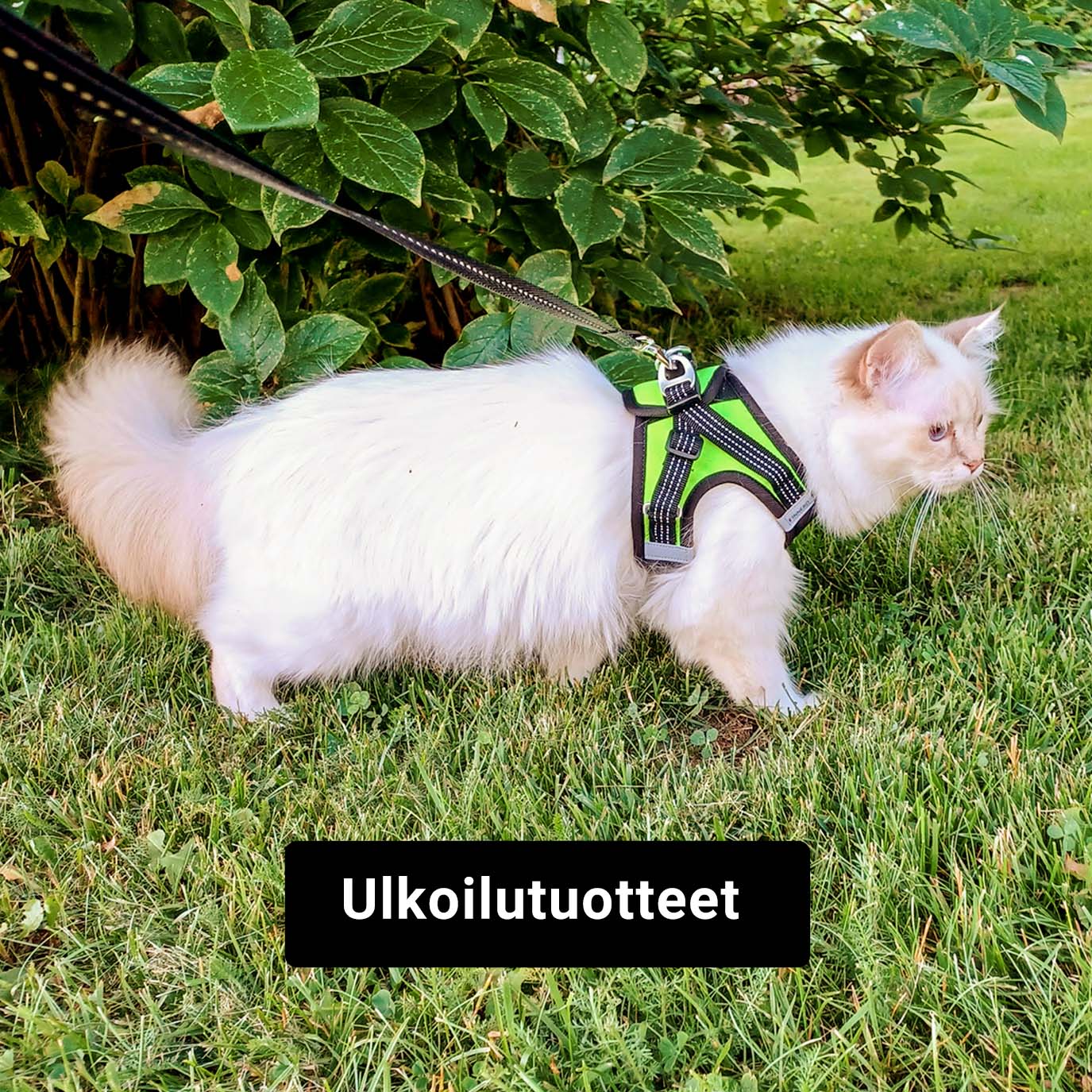 Ulkoilutuotteet
