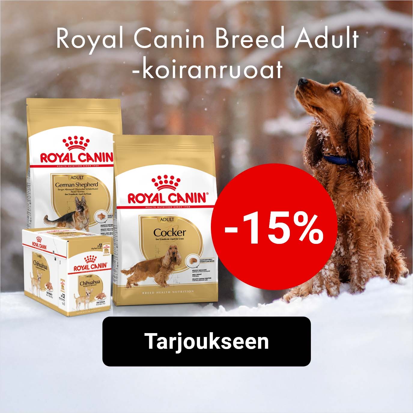 -15% Royal Canin Breed -koiranruoat (adult)