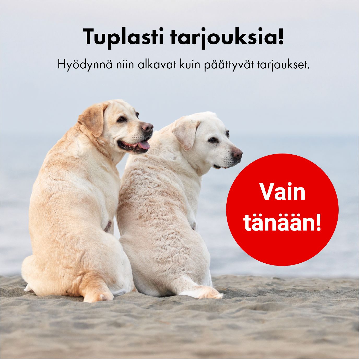 Tänään tuplasti tarjouksia!