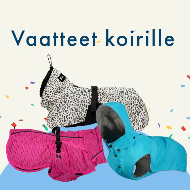 Vaatteet koirille