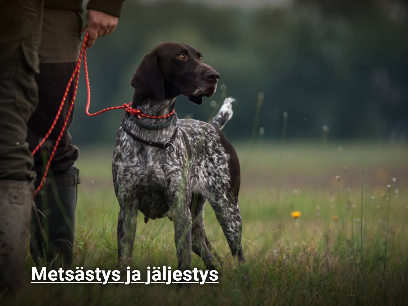 Tuotteet metsästykseen ja jäljestykseen koiralle