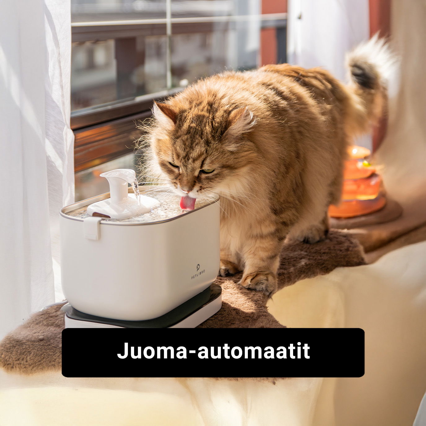 Kissan juoma-automaatit