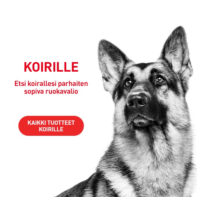 Kaikki Royal Canin -tuotteet koirille