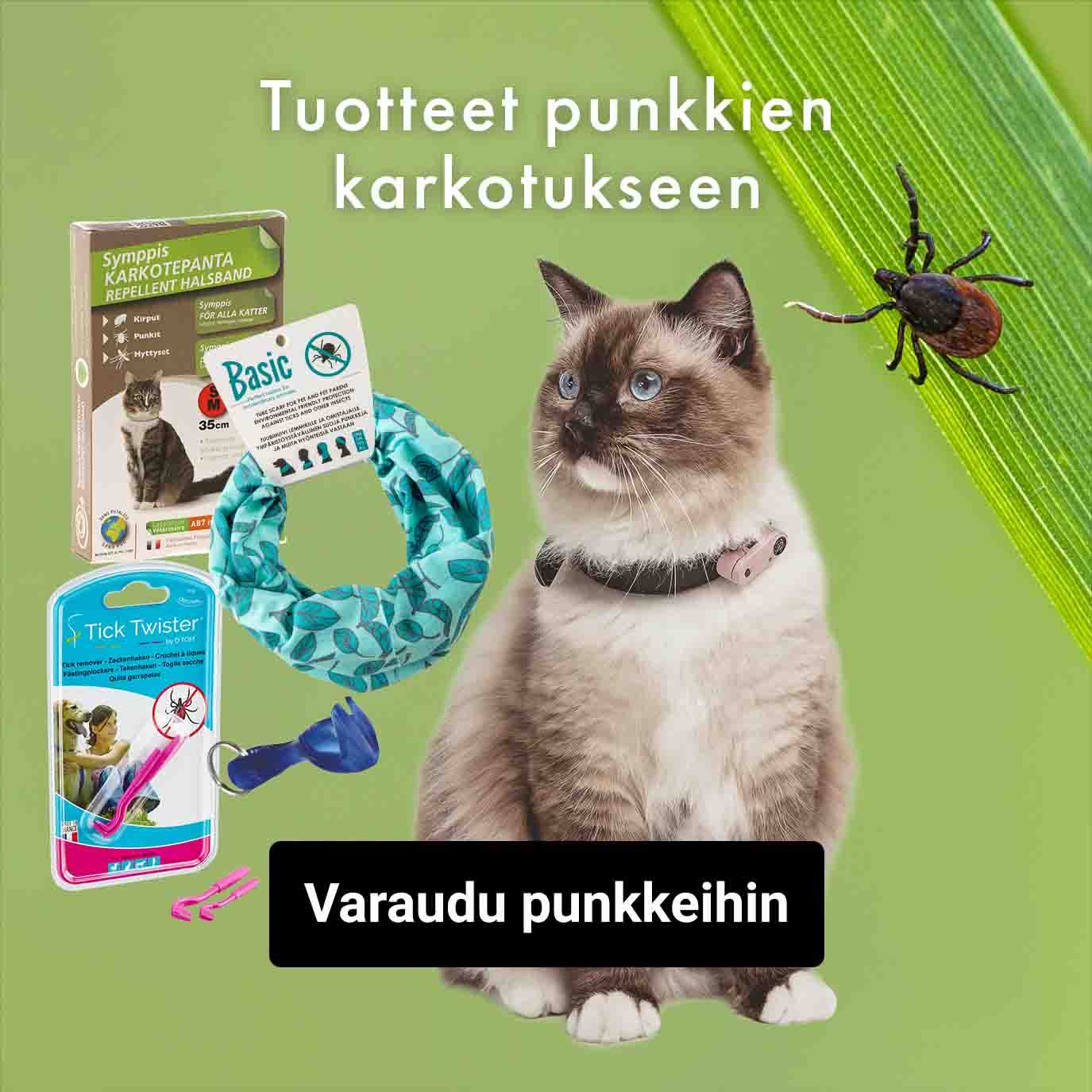 Laadukkaat kissatarvikkeet ja kissanruoat Peteltä 