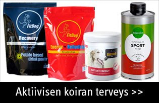 aktiivisen koiran terveys