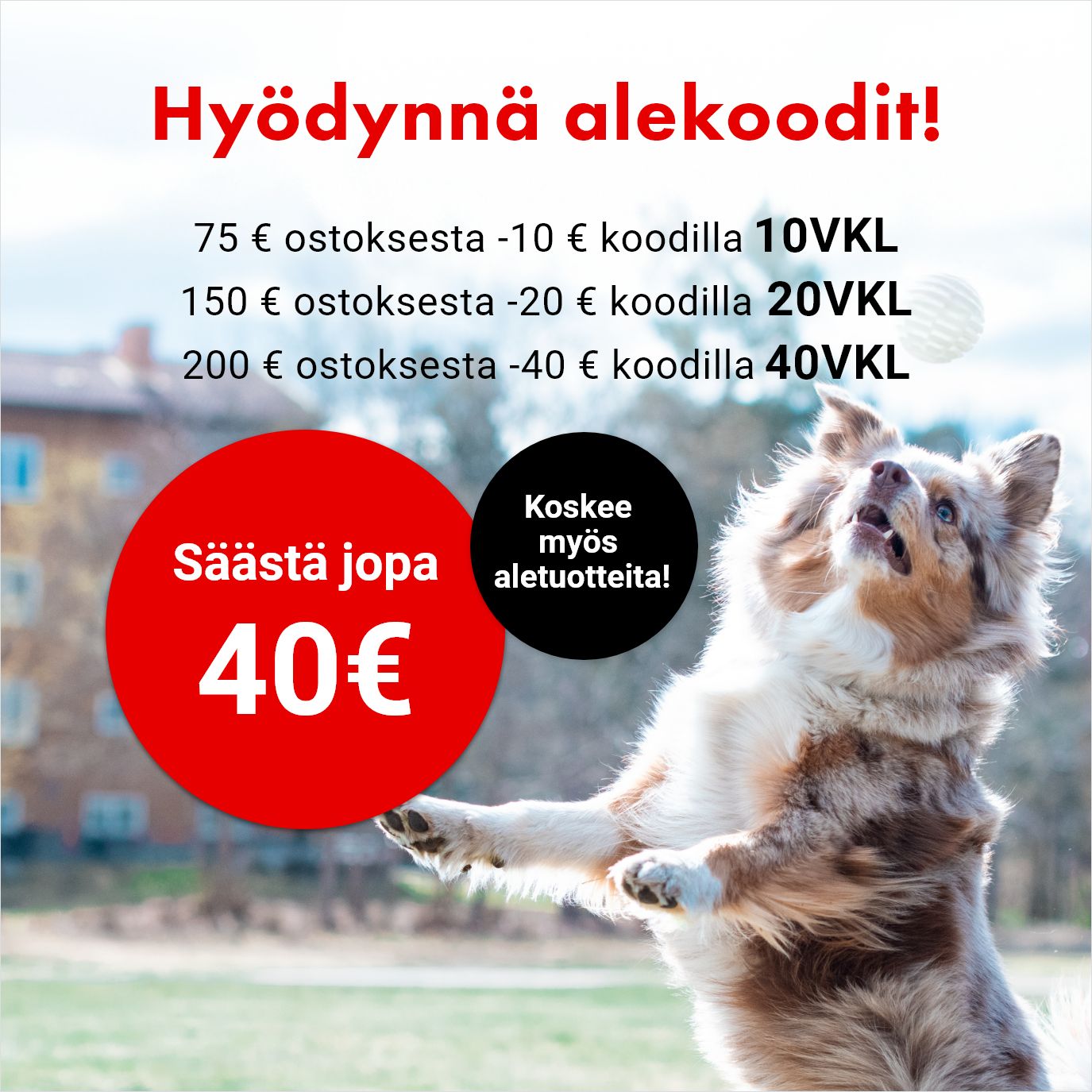 Hy&ouml;dynn&auml; viikonlopun alekoodit ja s&auml;&auml;st&auml; jopa 40e! kampanja voimassa 15.3. asti.