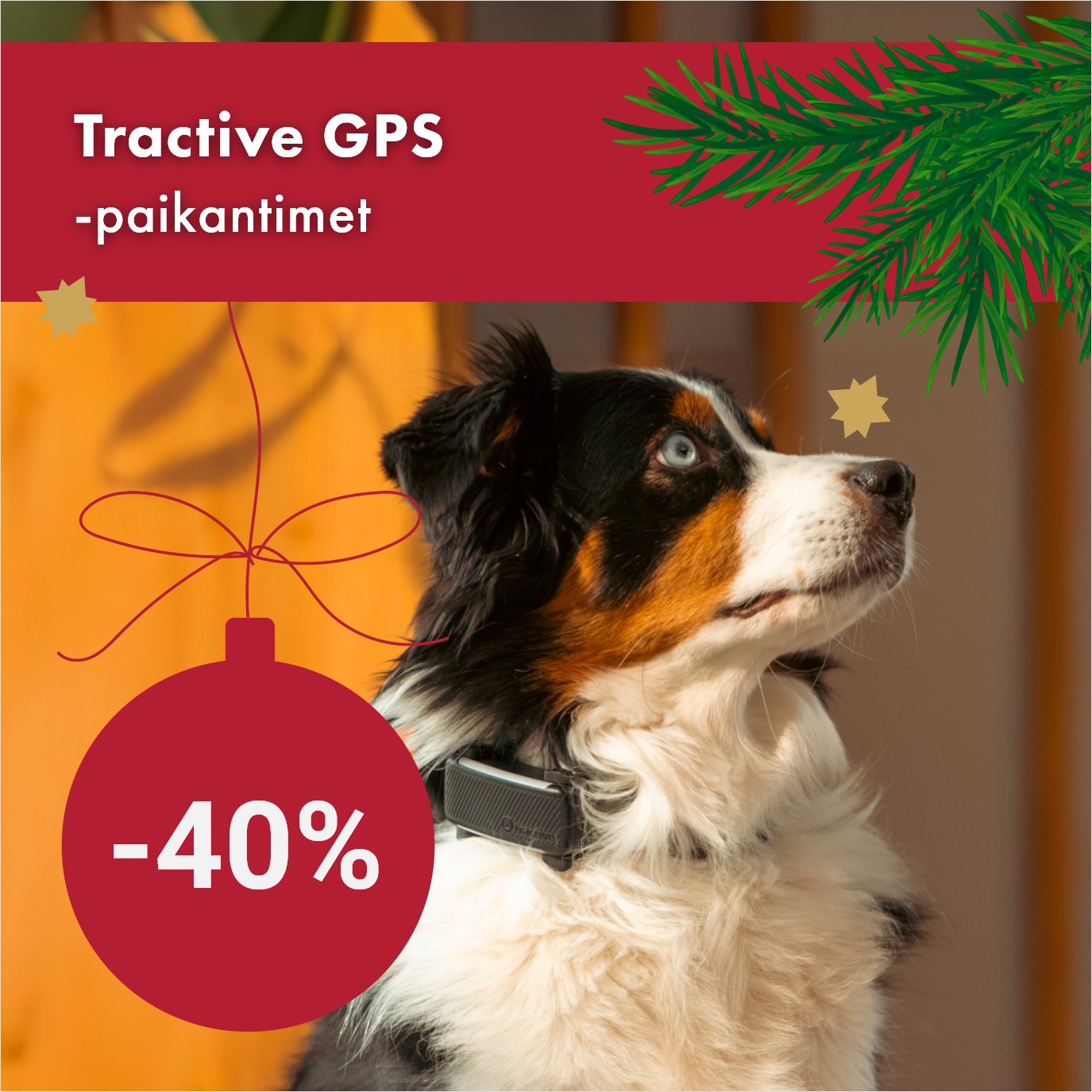 Tractive GPS-paikantimet 24.12. asti