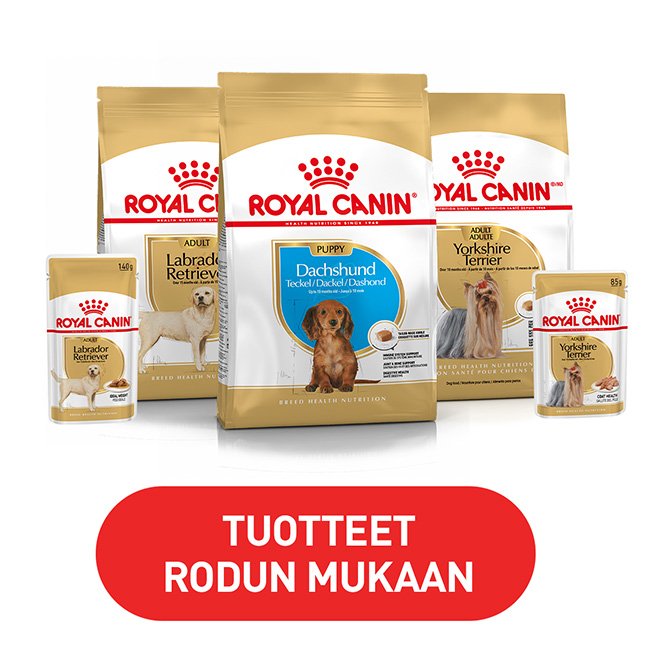 Royal Canin Breed -roturuoat koirille