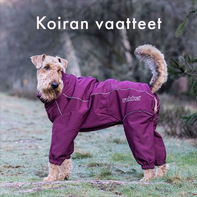 Koiran vaatteet